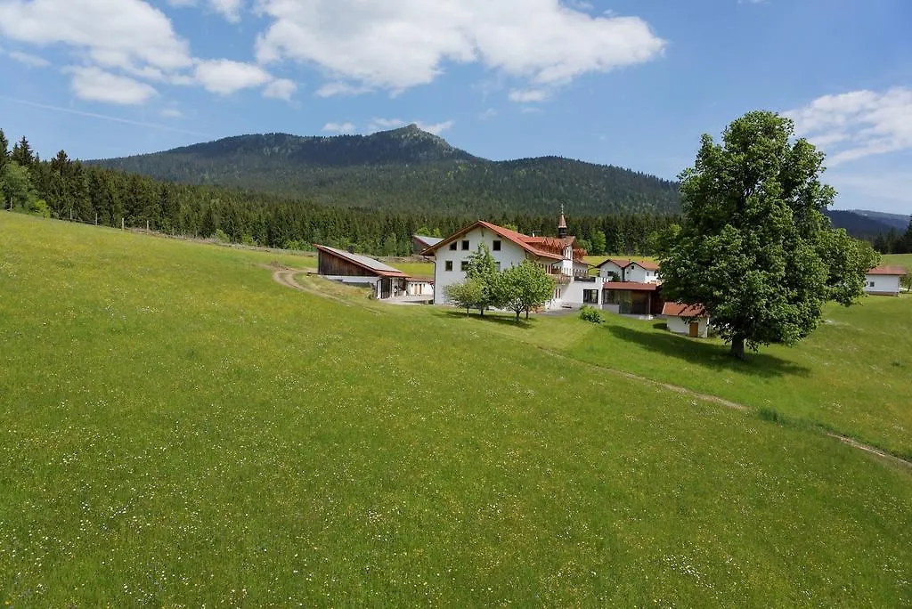 Hotell Osserhotel - B&B Am Osser Lohberg