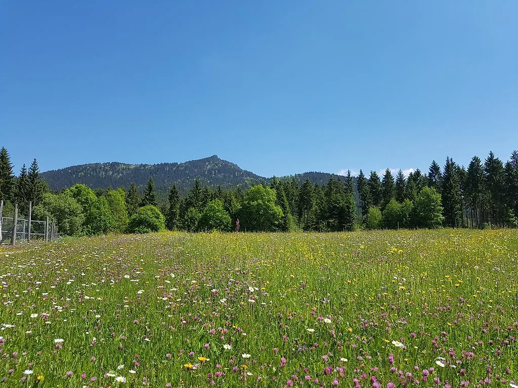 Hotel Osserhotel Garni Lohberg